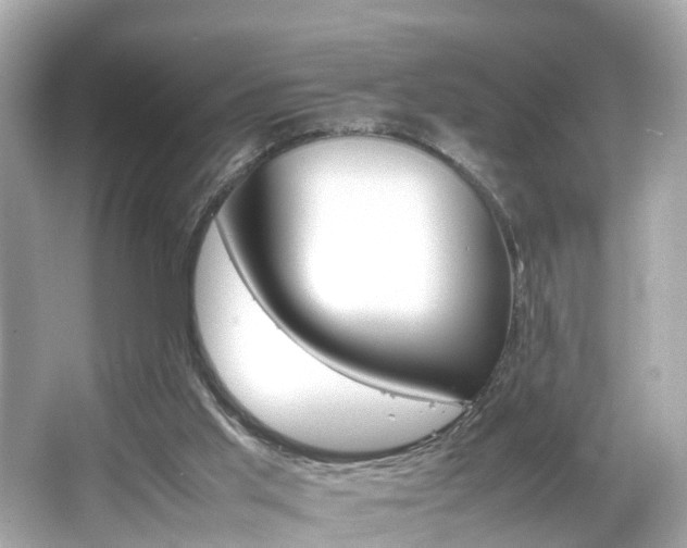 X0000066500013200603171002