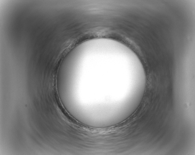X0000066500018200603171001