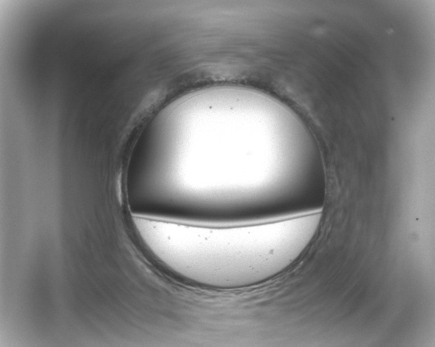 X0000066500019200603171001
