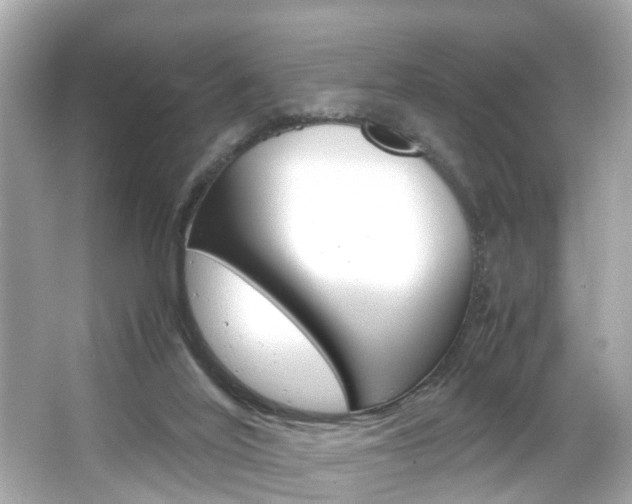 X0000066500020200603171001