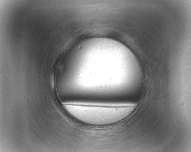 X0000066500021200603171001