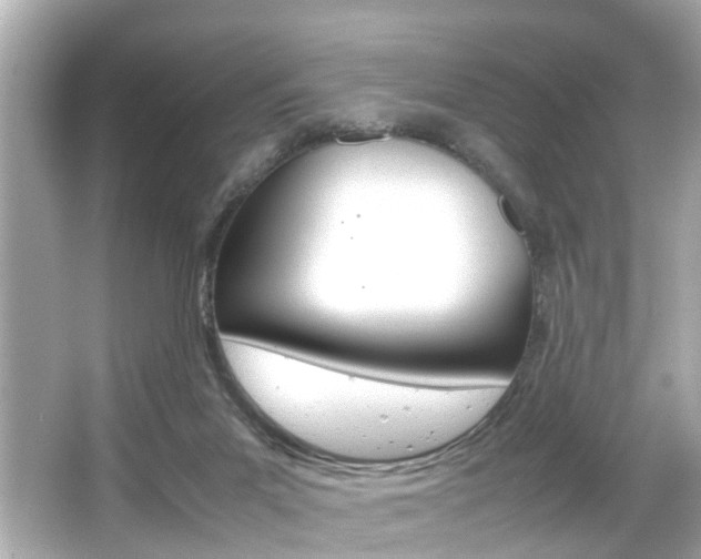X0000066500023200603171001