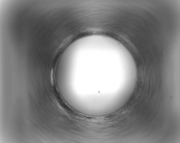 X0000066500024200603171001