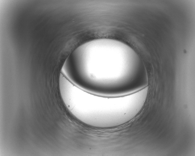 X0000066500025200603171001