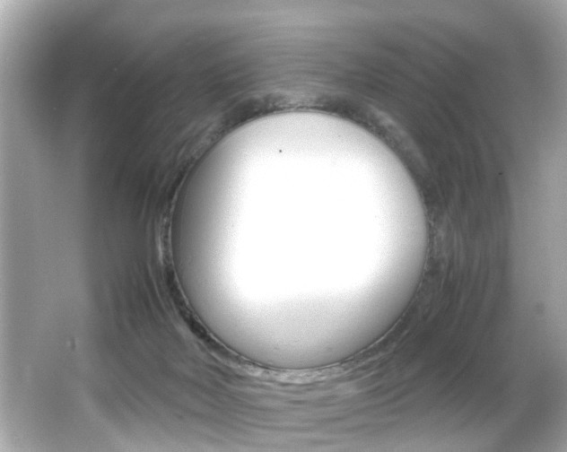 X0000066500026200603171001
