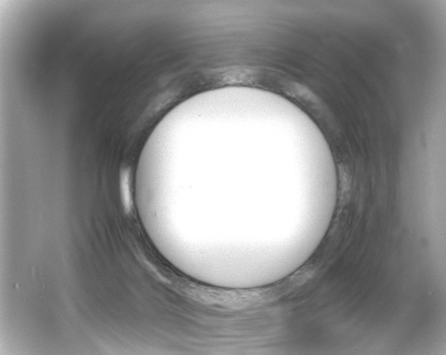 X0000066500028200603171001