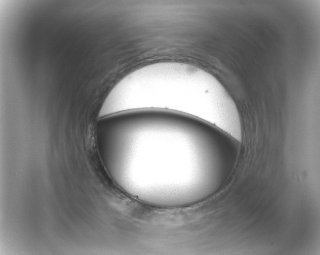 X0000066500029200603171001