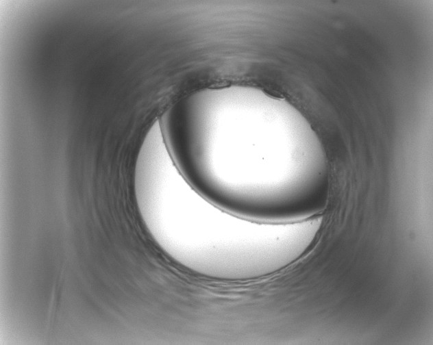 X0000066500033200603171001