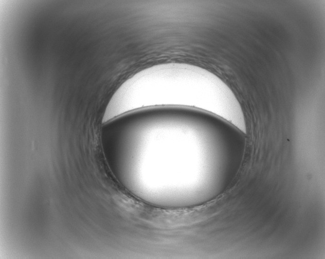 X0000066500037200603171001