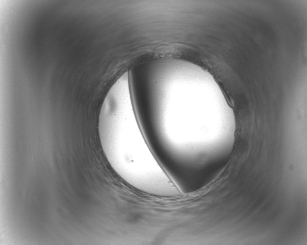 X0000066500041200603171001