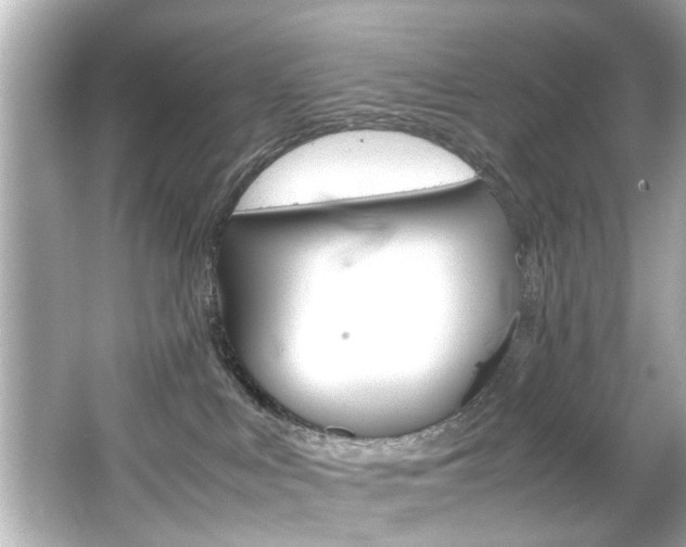X0000066500043200603171001