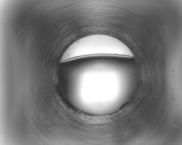 X0000066500044200603171001