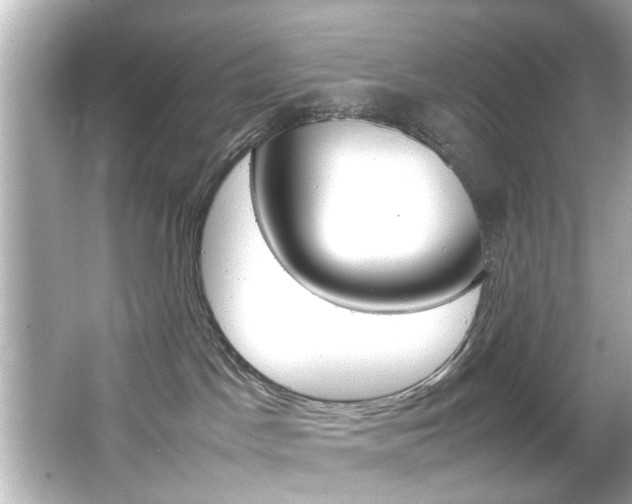 X0000066500045200603171001