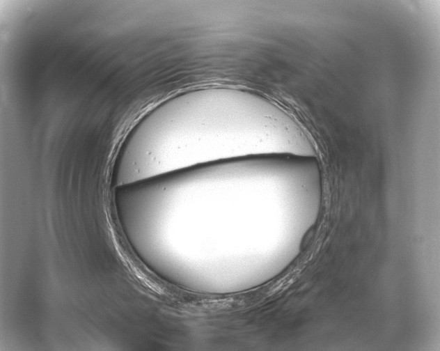 X0000066500049200603171000