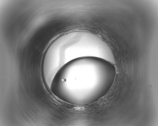 X0000066500052200603171000
