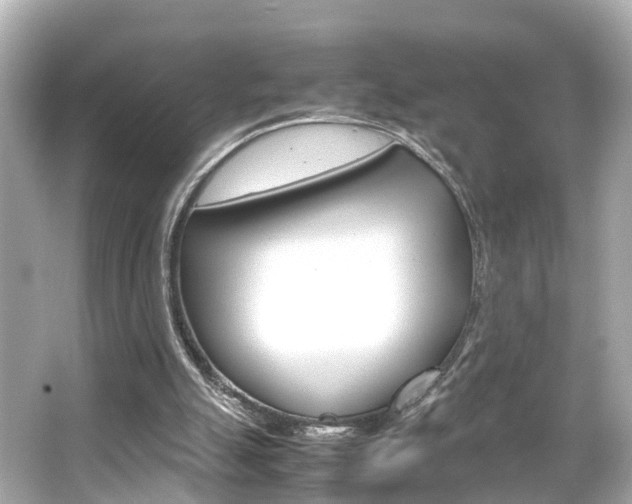 X0000066500055200603171000