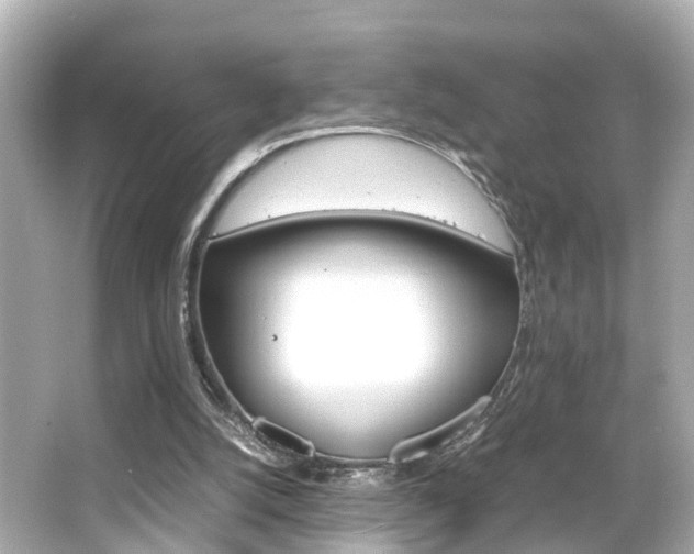 X0000066500056200603171000