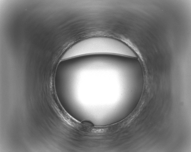 X0000066500057200603171000