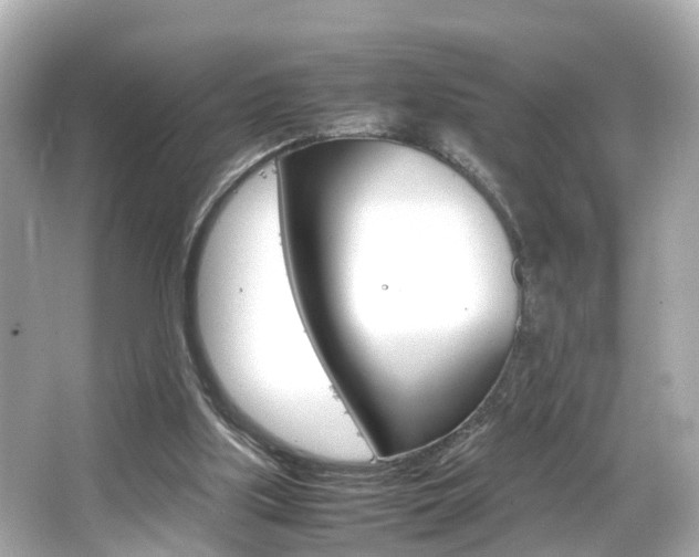 X0000066500059200603171000