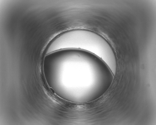 X0000066500060200603171000