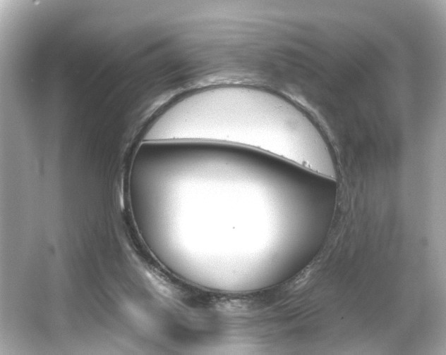 X0000066500062200603171000
