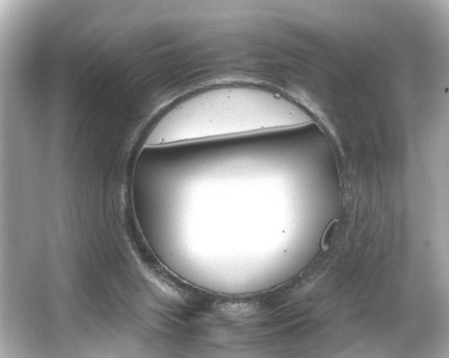 X0000066500063200603171000