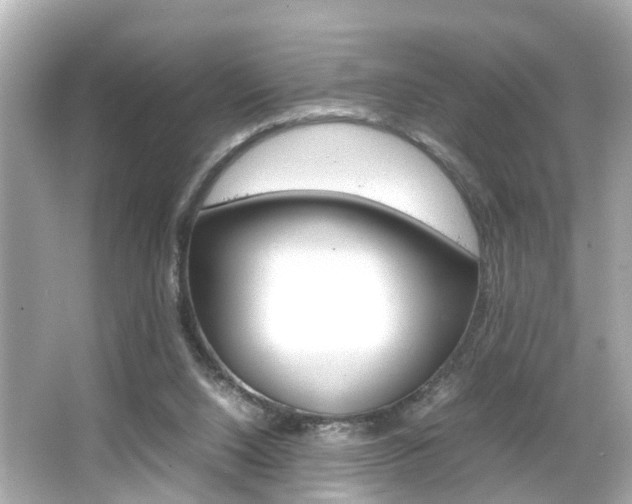 X0000066500064200603171000