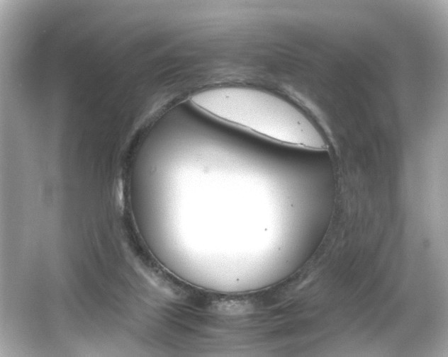 X0000066500067200603171000