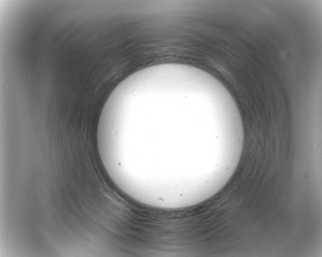 X0000066500077200603171001