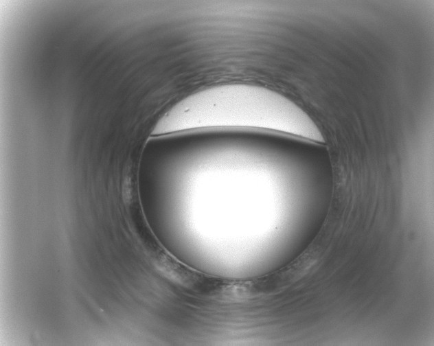 X0000066500080200603171001