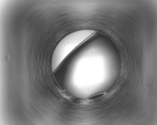 X0000066500096200603171001