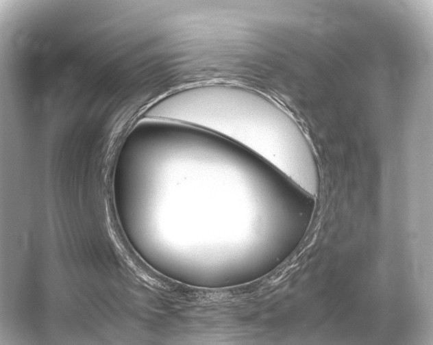 X0000066500097200603171000