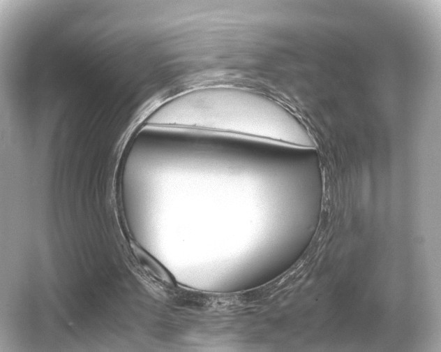 X0000066500099200603171000