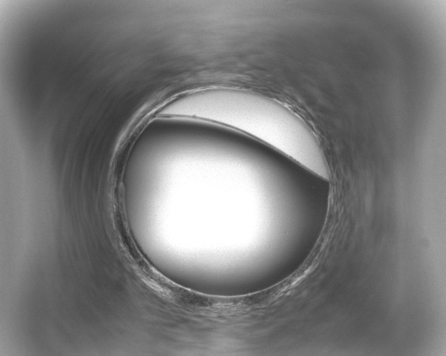 X0000066500101200603171000