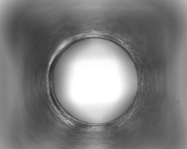 X0000066500102200603171000