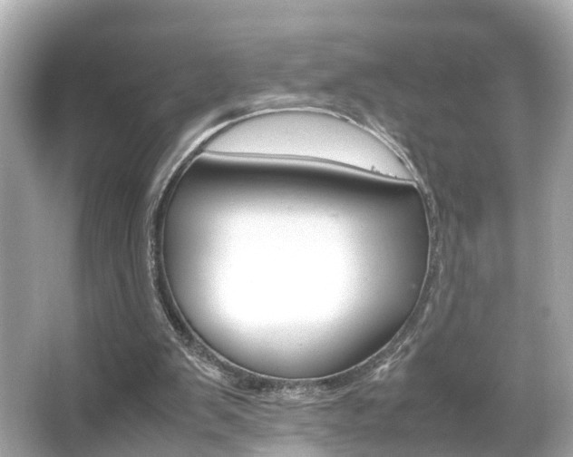 X0000066500103200603171000