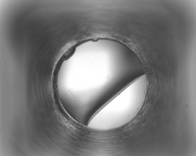 X0000066500104200603171000