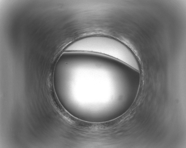 X0000066500105200603171000