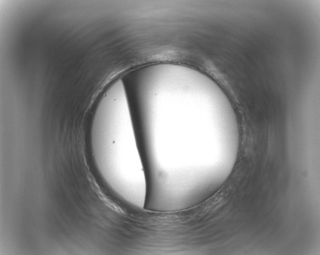 X0000066500106200603171000