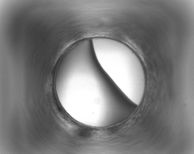X0000066500107200603171000