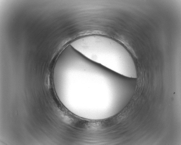 X0000066500110200603171000