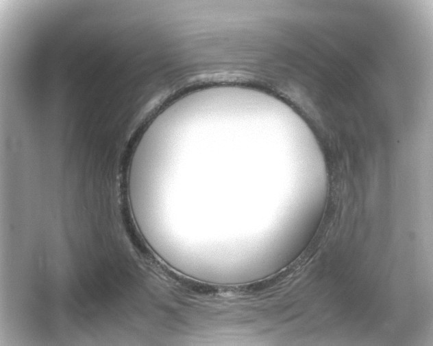 X0000066500111200603171000