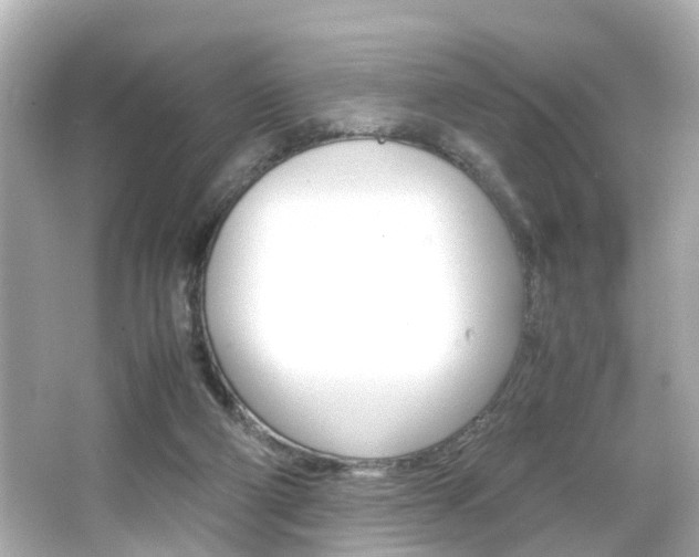 X0000066500114200603171000