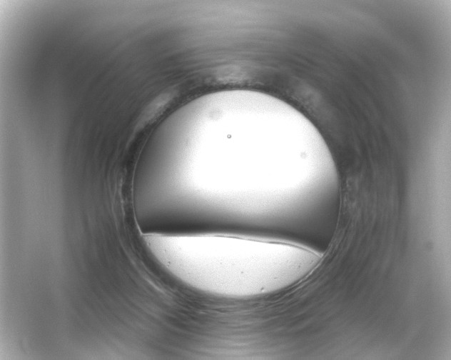 X0000066500116200603171000