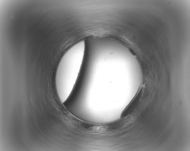 X0000066500117200603171000