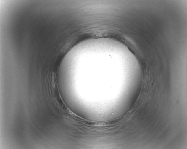 X0000066500121200603171000