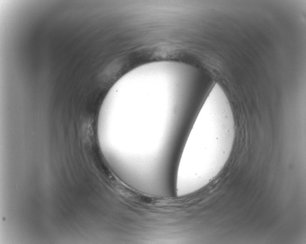X0000066500127200603171000