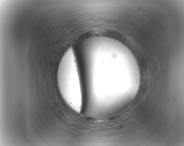X0000066500129200603171000