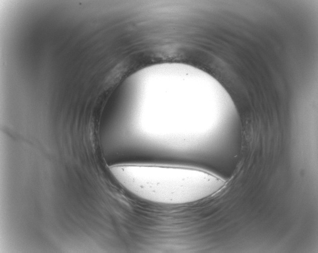 X0000066500132200603170959