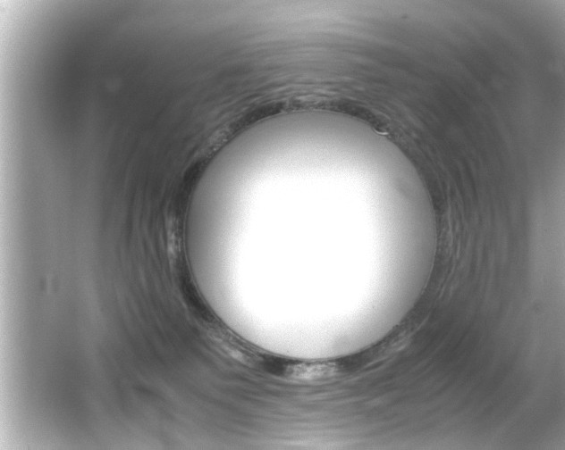 X0000066500135200603170959